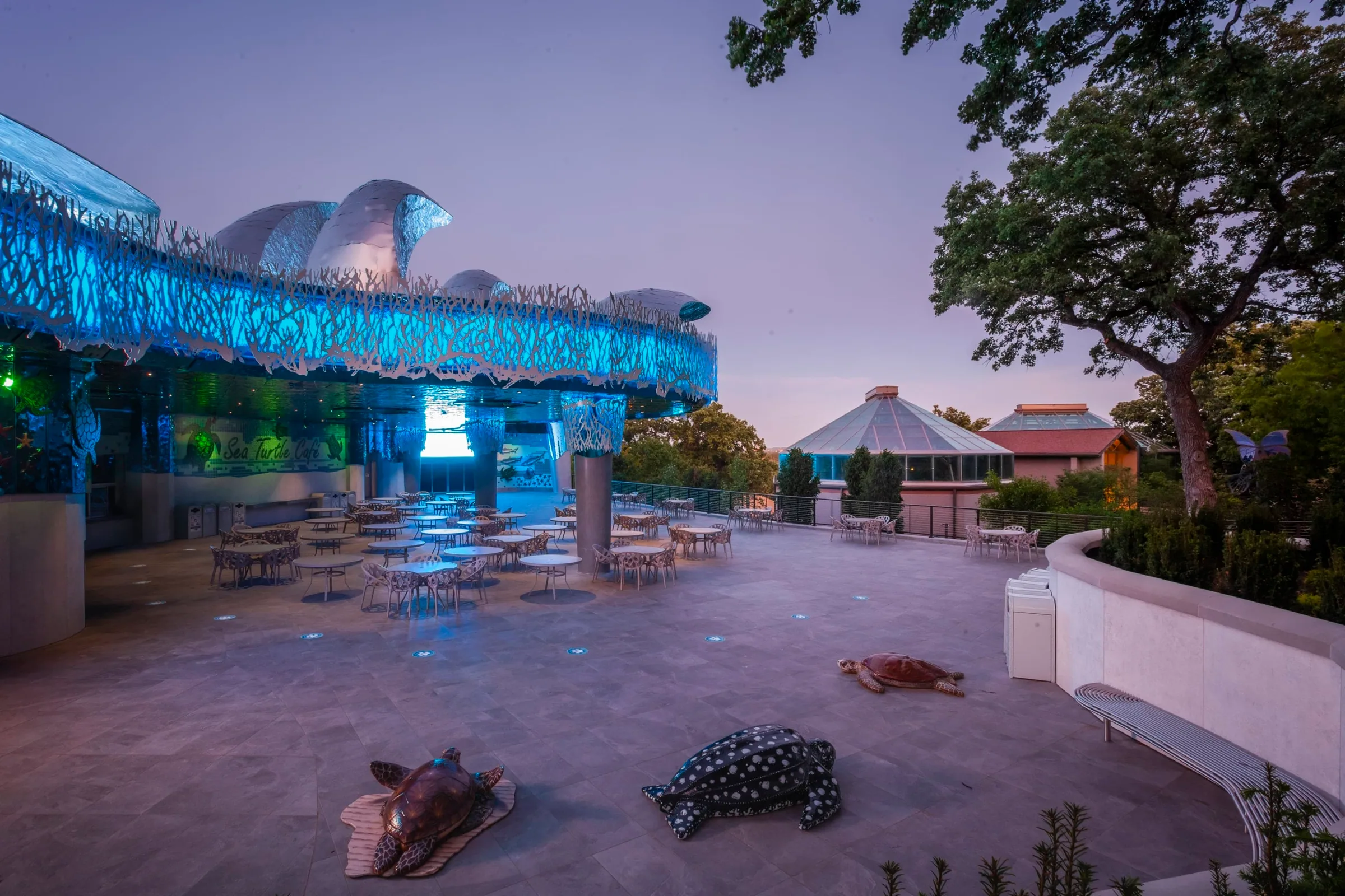 Turtle sculptures on the plaza at dusk
