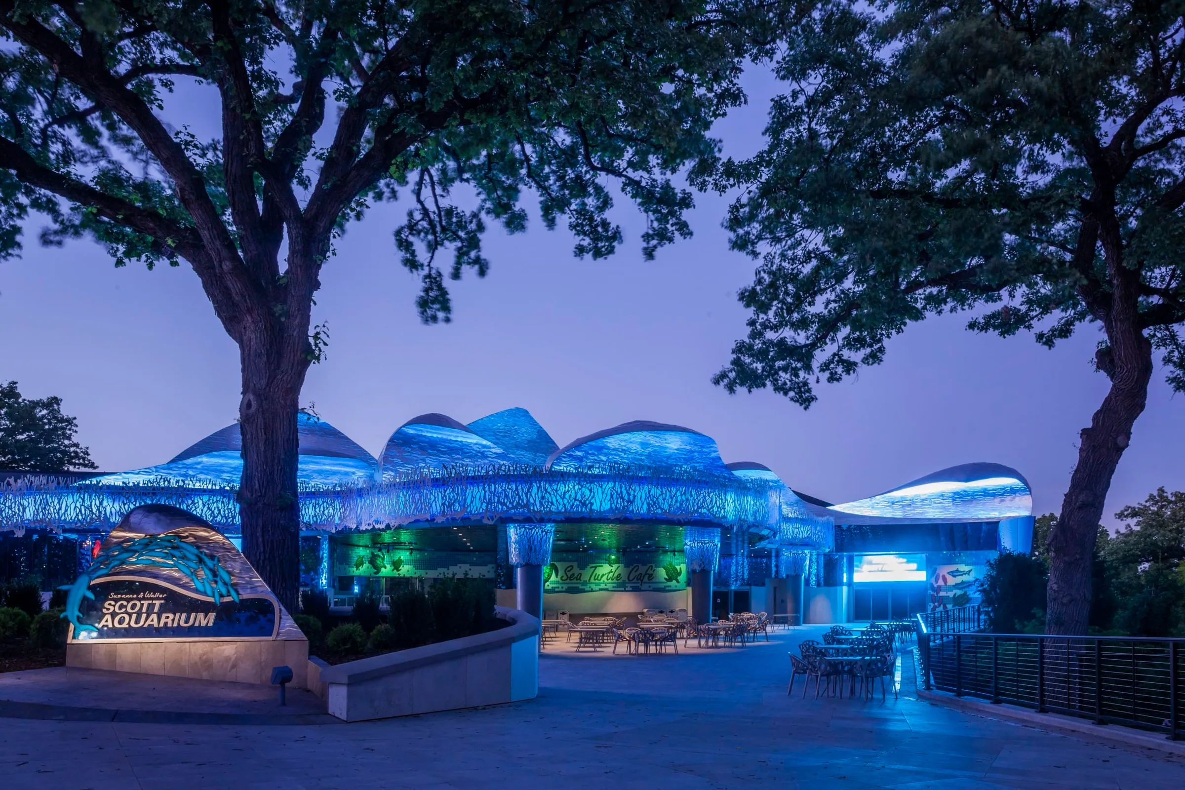 The aquarium’s wave façade glowing blue under the trees at dusk