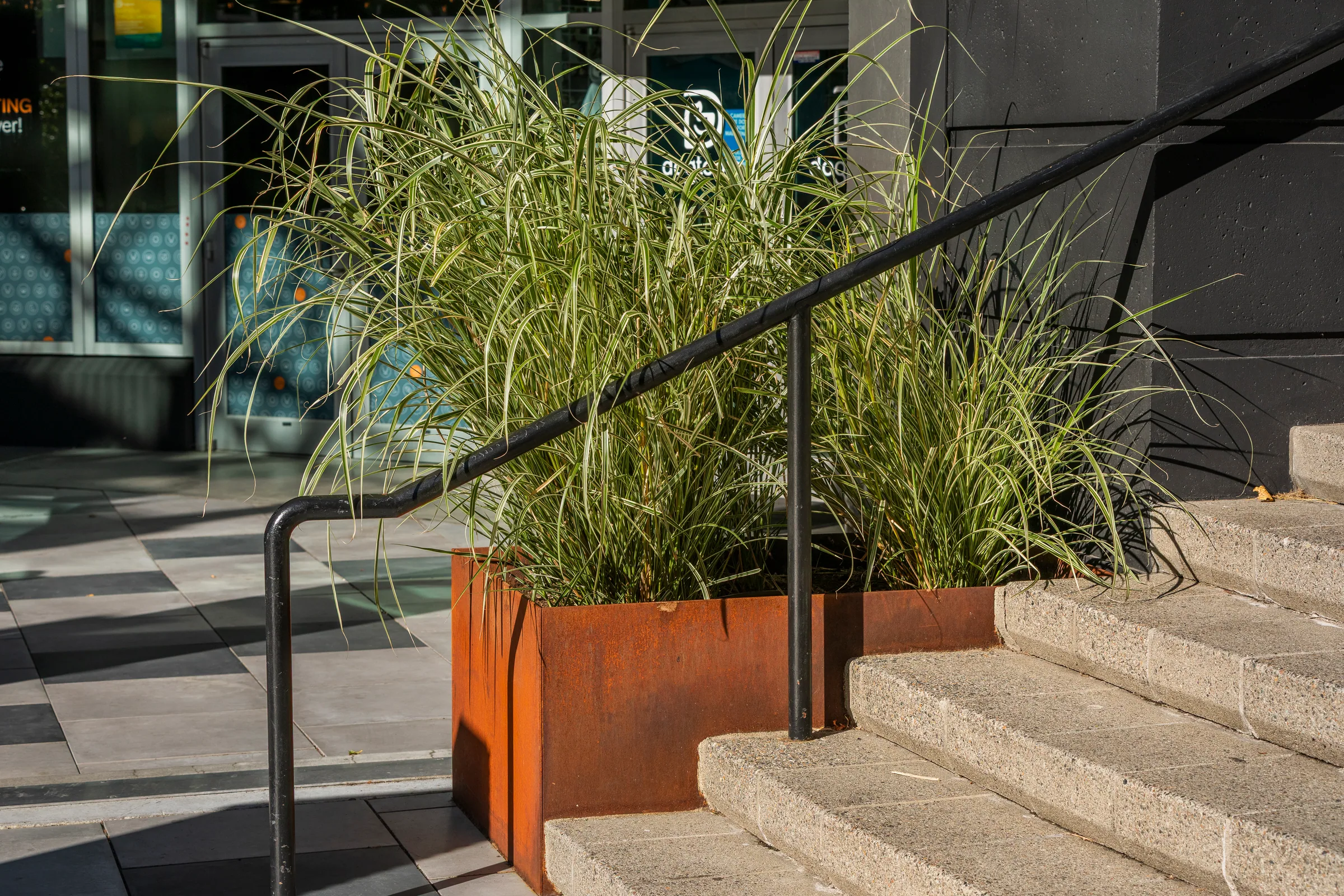 Grasses spilling from a steel planter along a handrail