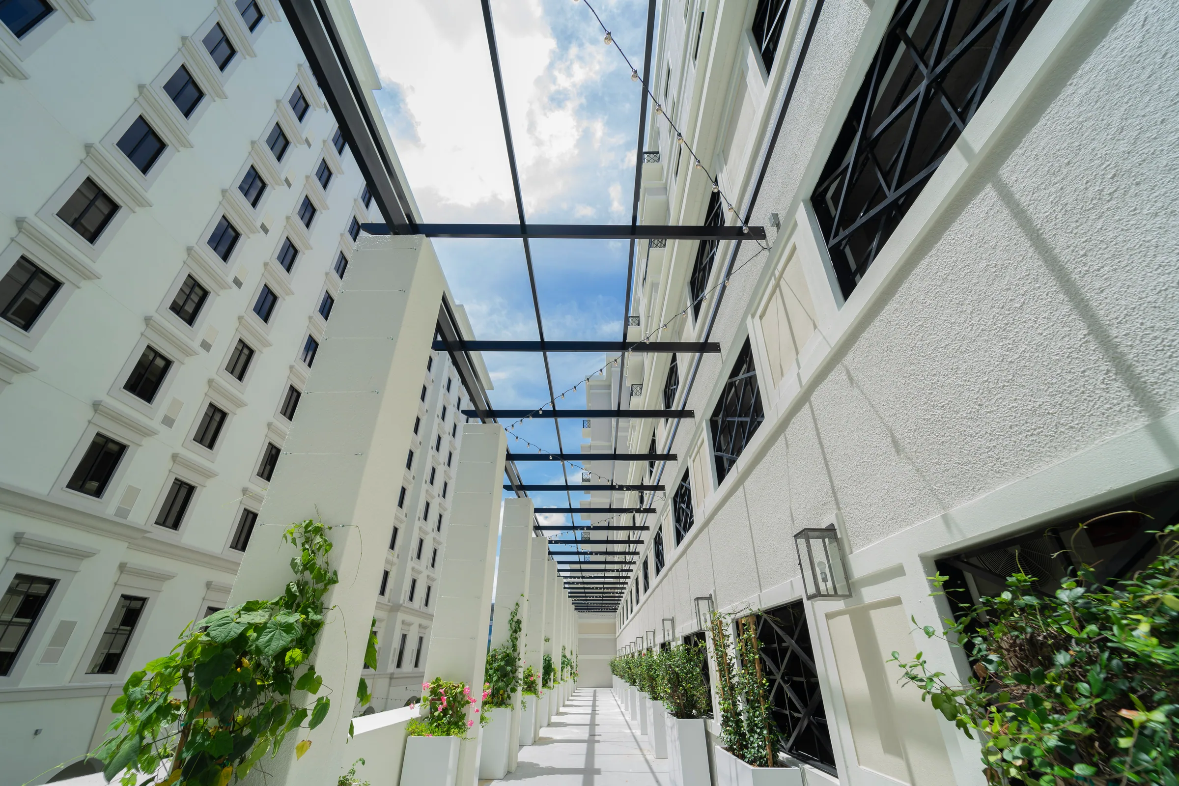 A steel trellis running the length of a narrow courtyard