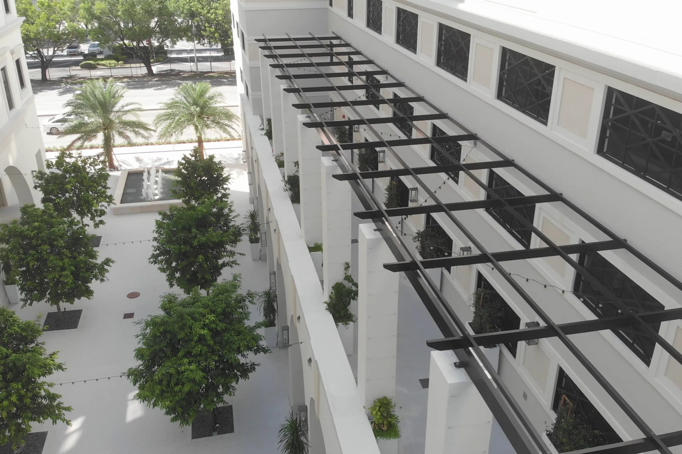 Trellis beams over a courtyard of trees