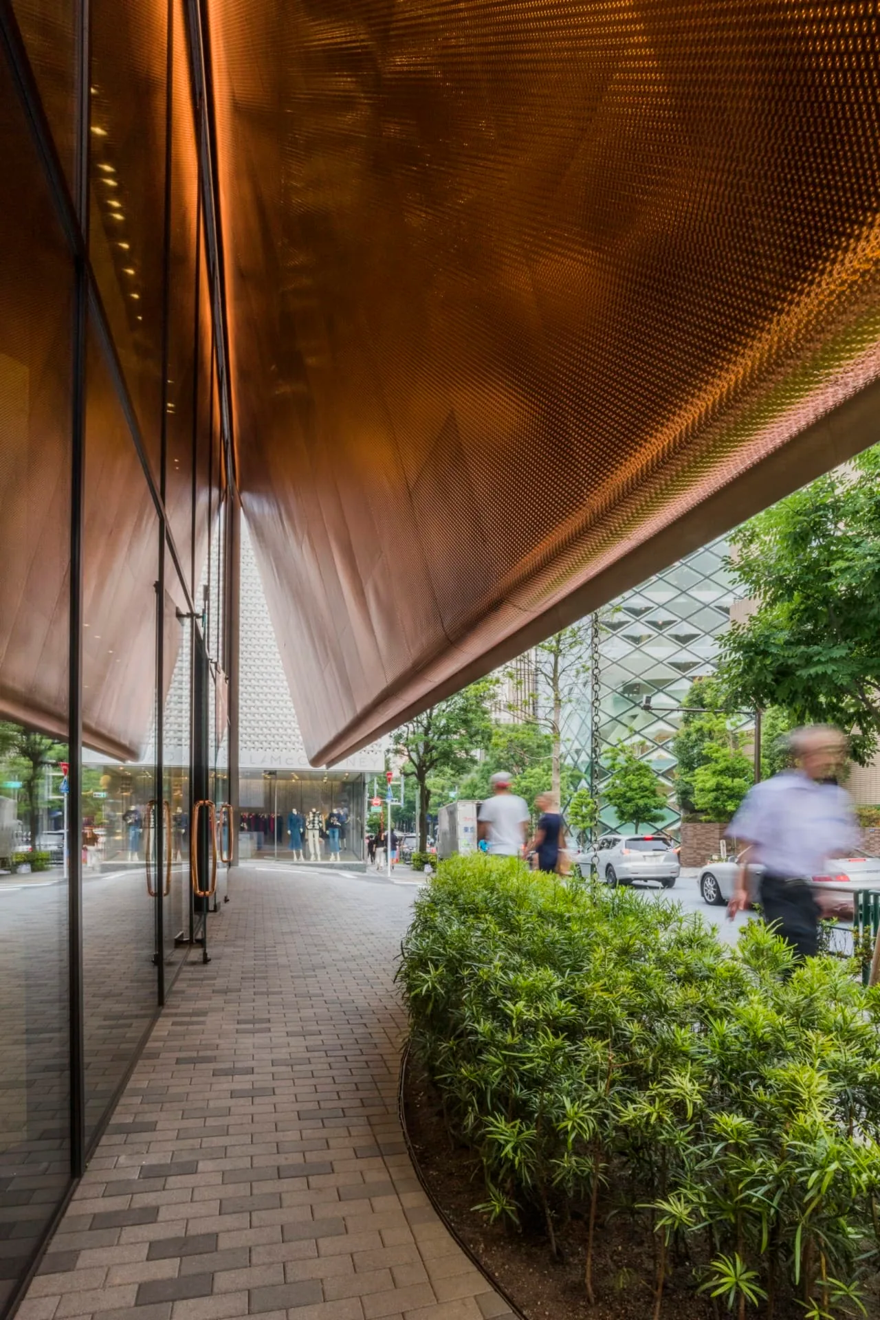The copper canopy over the path and hedges