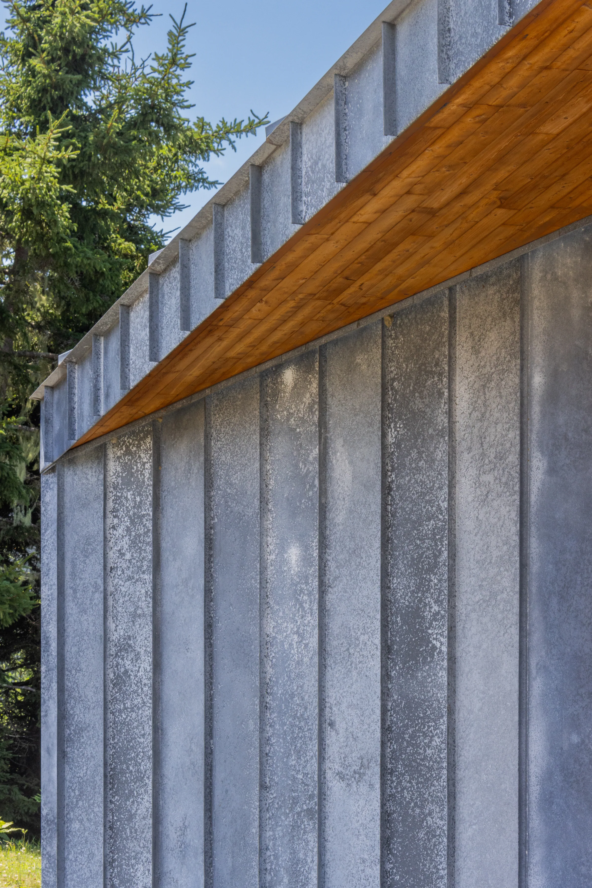 A zinc wall under a warm timber soffit
