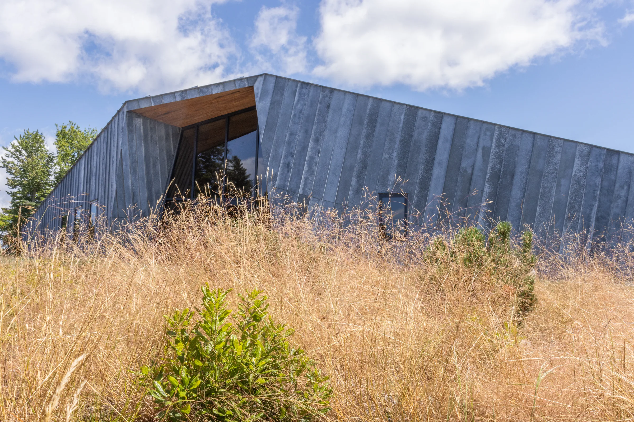 The studio’s folded zinc roof and timber-lined entry over dry grass