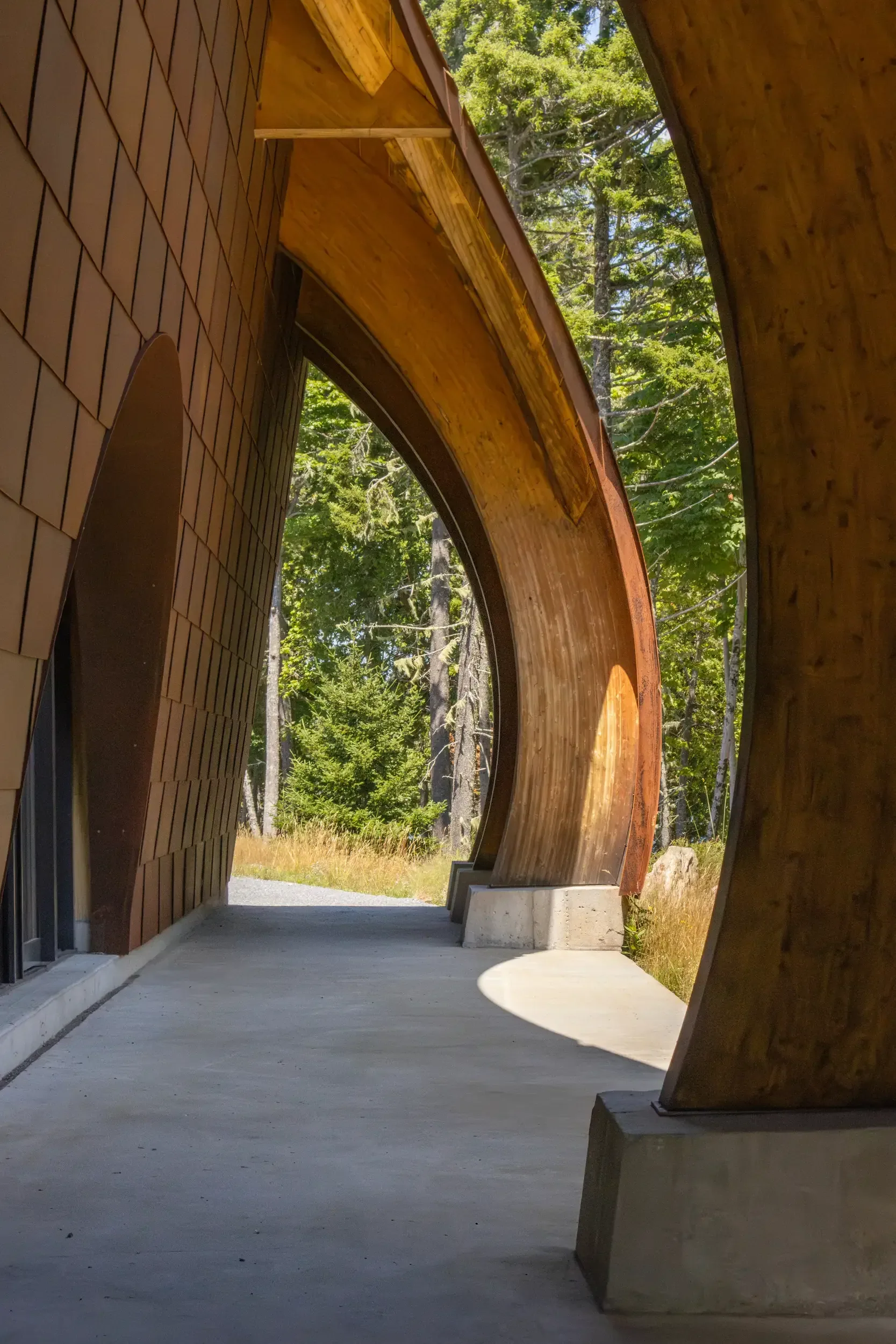 An arched timber walkway beside the steel vault