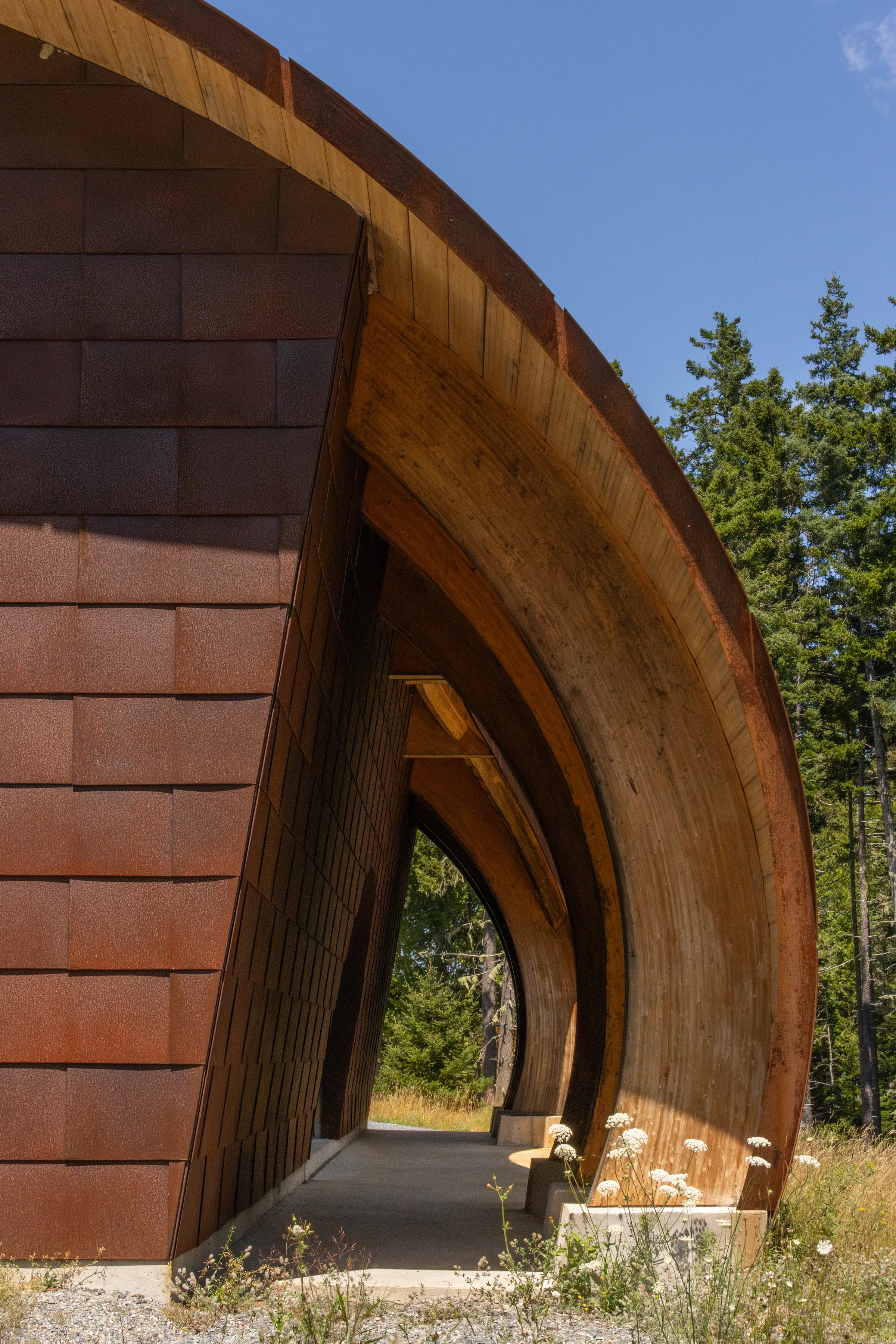 Timber and steel arches at the end of the vault