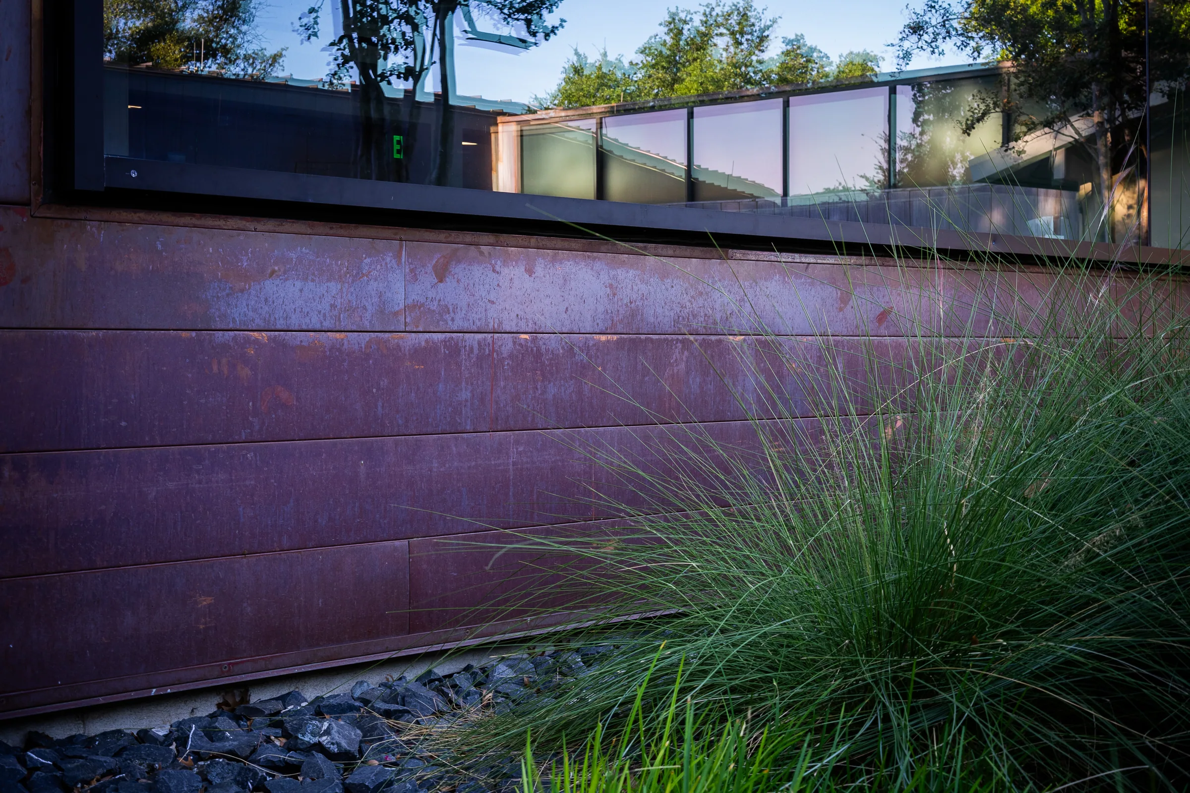 Grasses at the foot of a darkened copper wall