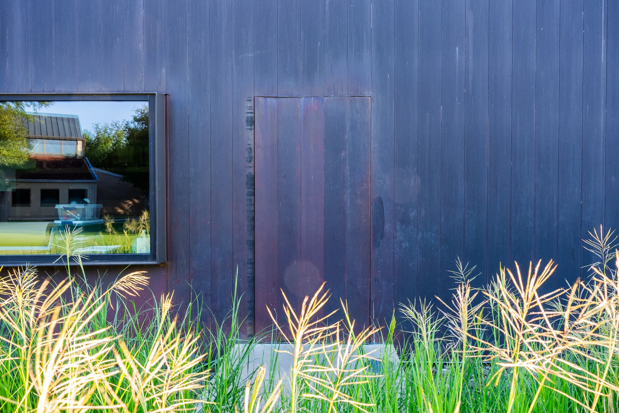 Grass seed heads against a darkened copper wall with a window