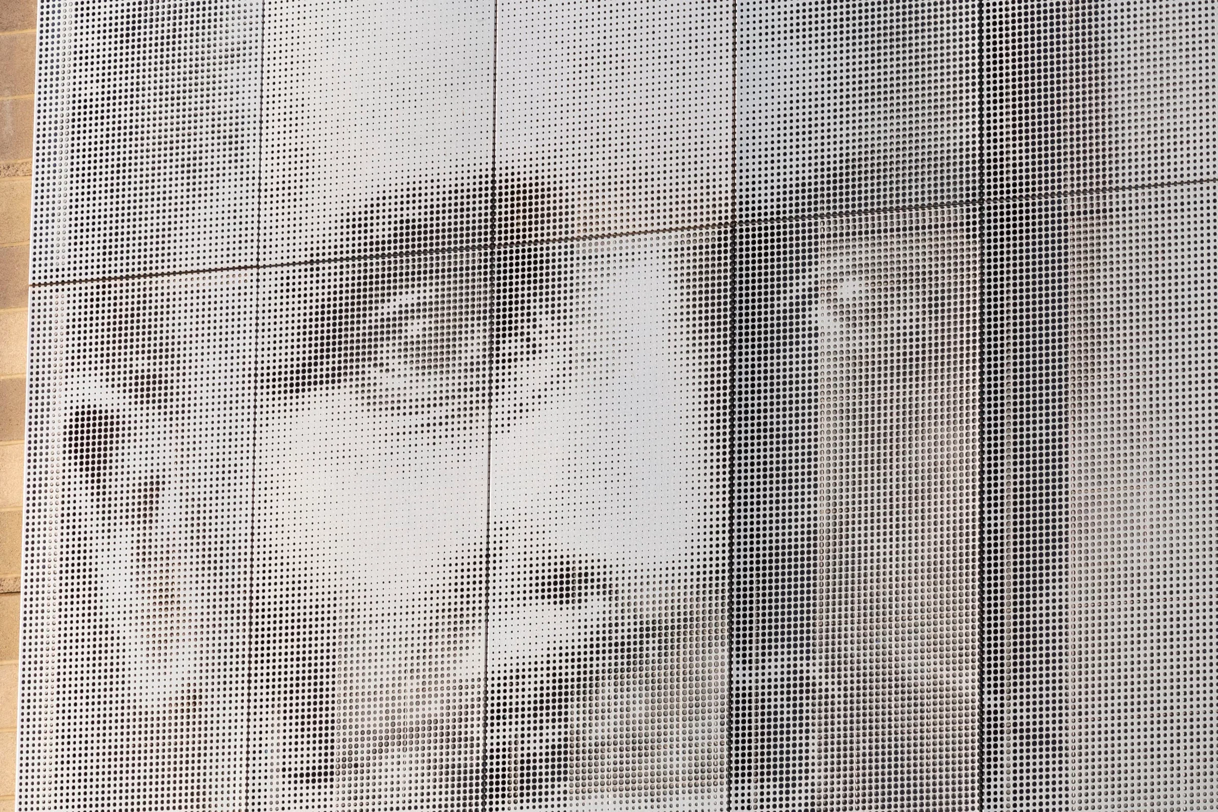 Close on the eyes, rendered in perforations
