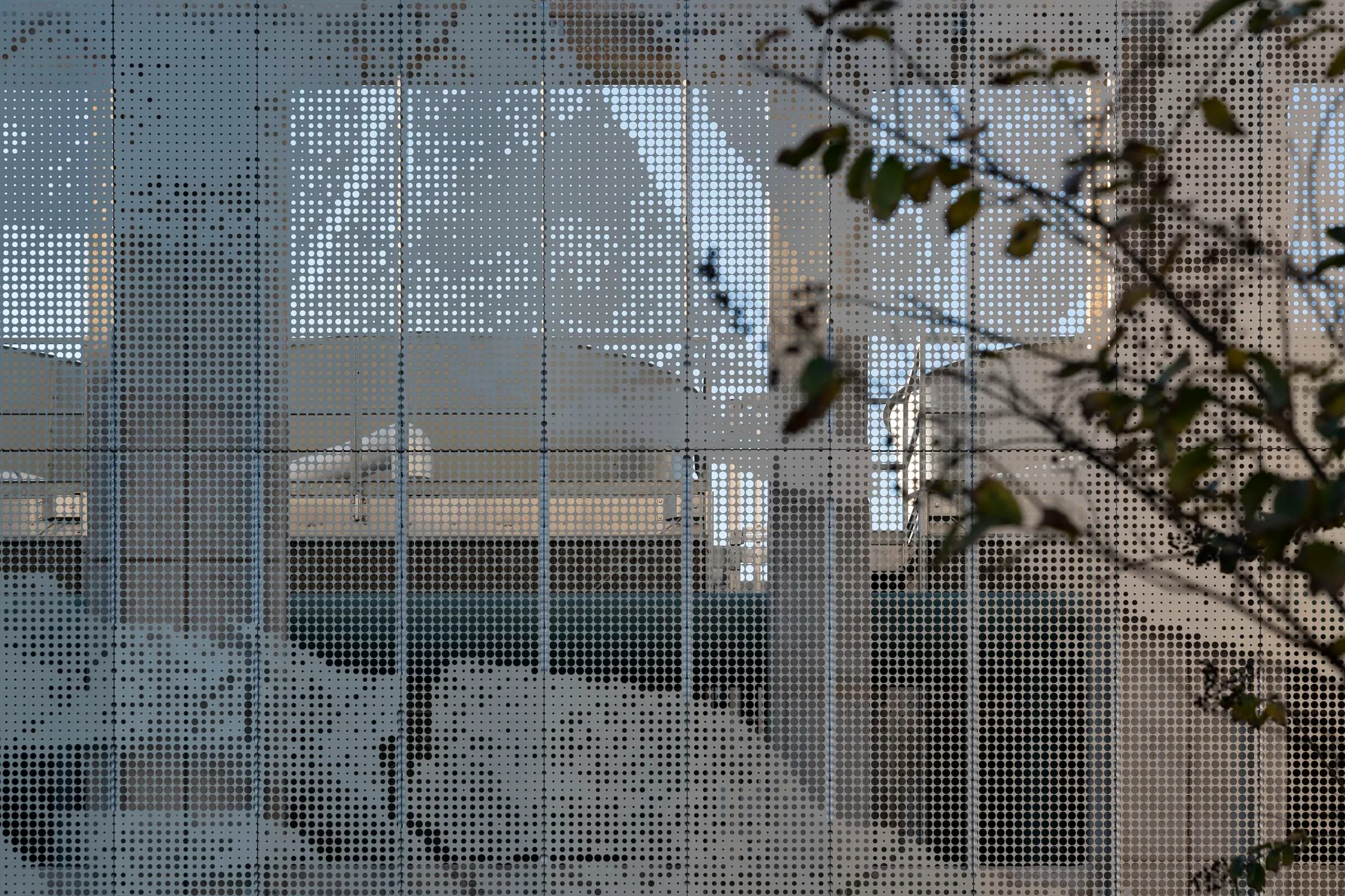 Looking through the perforated screen at a tree