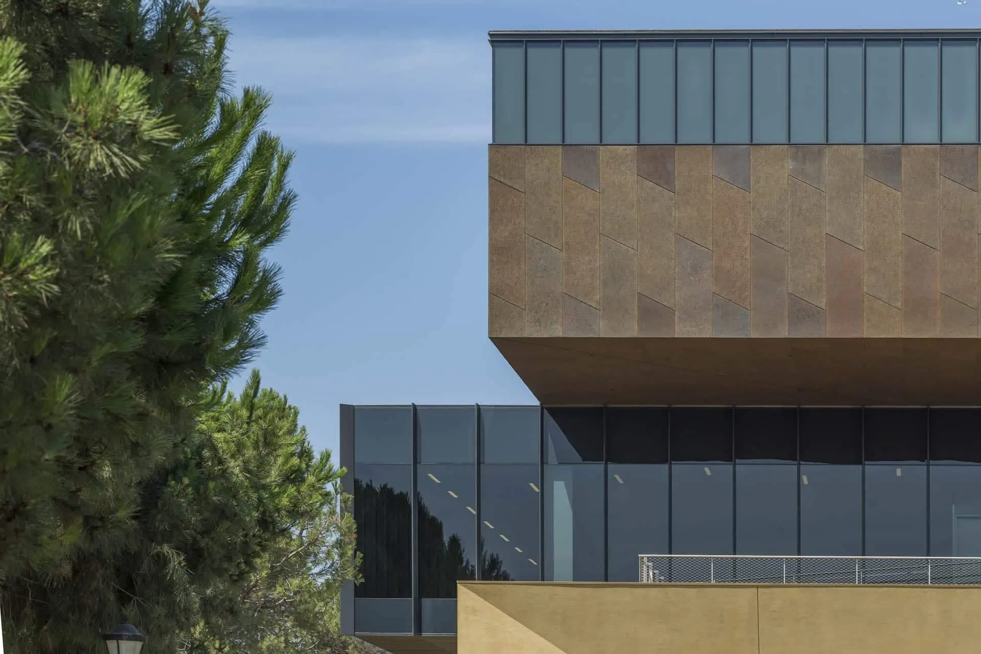 A zinc volume cantilevered past a pine tree