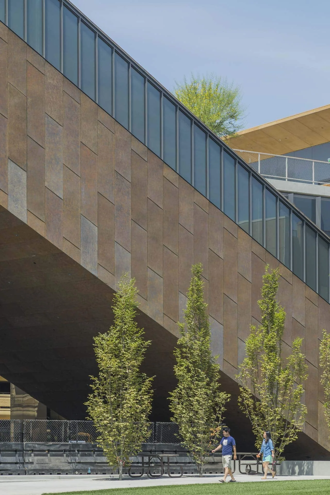The zinc wing overhanging a row of young trees